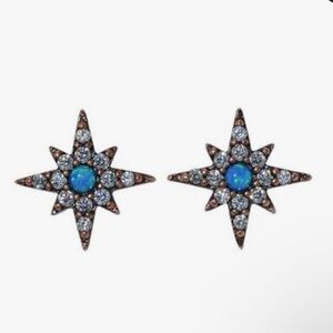 Taylor Swift - Opal Eyes Earrings